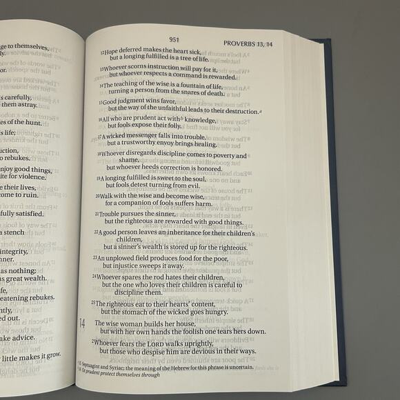 NIV Holy Bible Large Print by Zondervan Hardcover 2011 - Picture 4 of 8